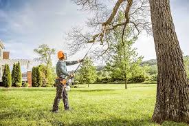 Best Tree Removal Services  in Bonners Ferry, ID